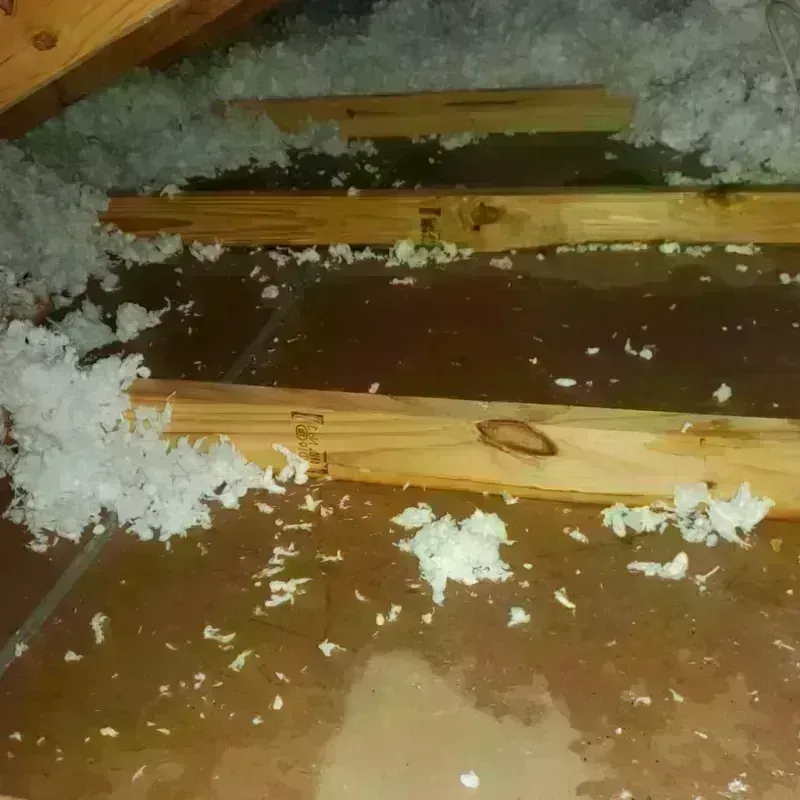 Attic Water Damage in Northampton County, NC