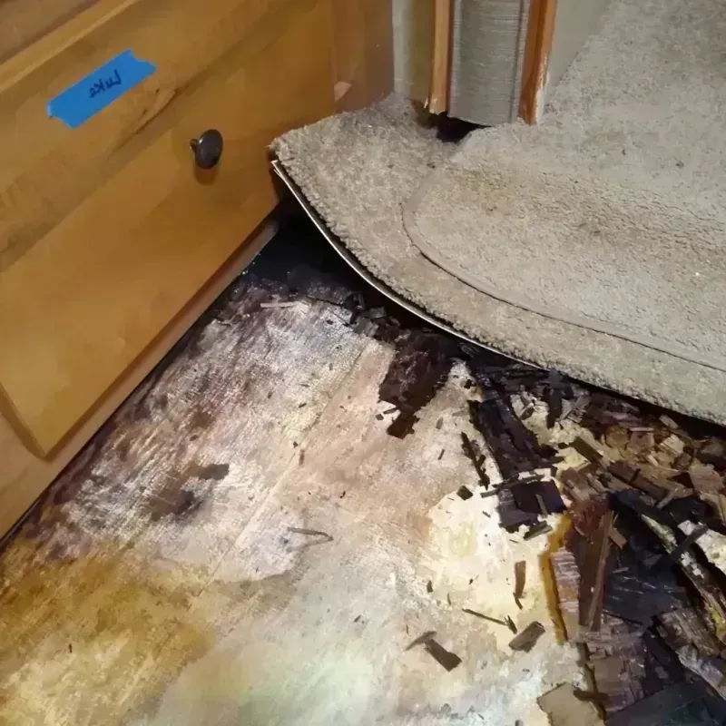 Wood Floor Water Damage in Northampton County, NC